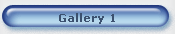 Gallery 1