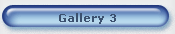 Gallery 3