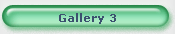 Gallery 3